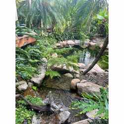 Medium Natural Pond - 3m x 5m - DIY