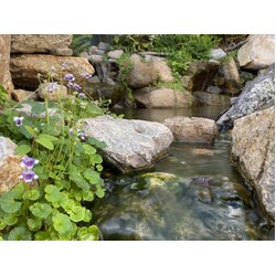 Small Natural Pond - 2.5m x 3.5m