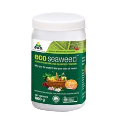 Eco Organic Eco Seaweed Powdered Extract [600g]