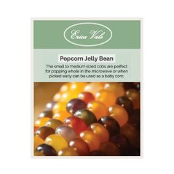 Popcorn Jelly Bean Seeds