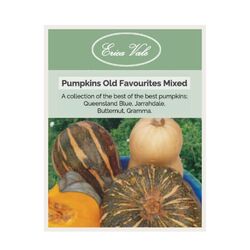 Pumpkin Old Favorites Mixed