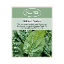Spinach Popeye's Choice Seeds