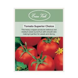 Tomato Superior Choice Seeds