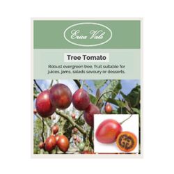 Tree Tomato Seeds