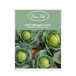 Mini Cabbage Crunch Seeds