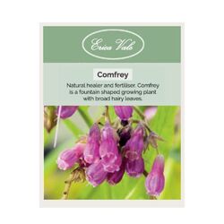 Comfrey Seeds