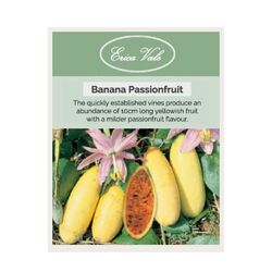 Banana Passionfruit Seeds