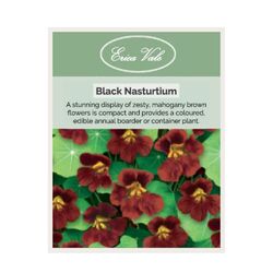 Black Nasturtium Seeds