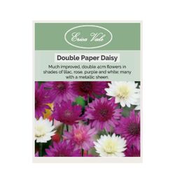 Double Paper Daisy Seeds