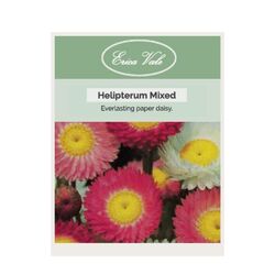 Helipterum Mixed Seeds