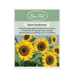 Giant Sunflower Seeds