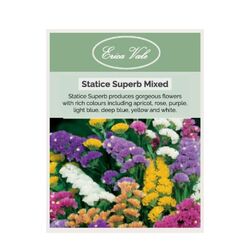 Statice Superb Mix Seeds