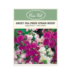 Sweet Pea Prize Strain Mixed Seeds