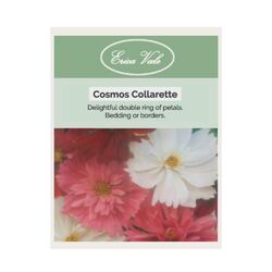 Cosmos Cupcakes Mix Seeds