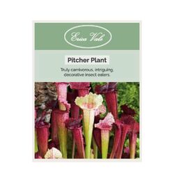Pitcher Plant Seeds