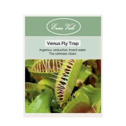 Venus Fly Trap Seeds