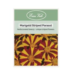 Marigold Striped Parasol Seeds