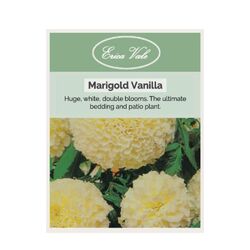 Marigold Vanilla Seeds