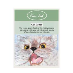 Catgrass Seeds