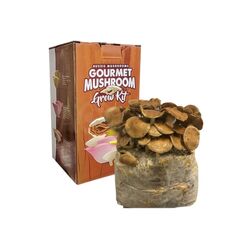 Nameko Aussie Mushroom Kit