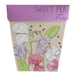 Sweet Pea Gift of Seeds