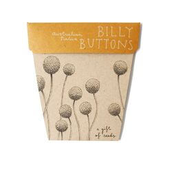 Billy Buttons Gift of Seeds