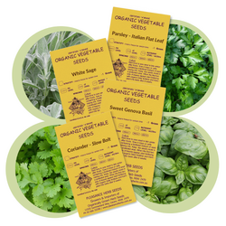 Kitchen Herb Seed Bundle - Parsley, Coriander, Sage and Basil