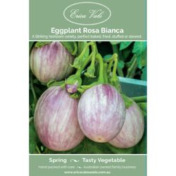 Eggplant Rosa Bianca