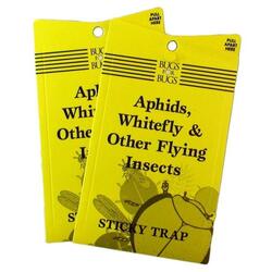 Bugs for Bugs Sticky Whitefly Traps