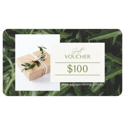 Gift eVoucher for $100