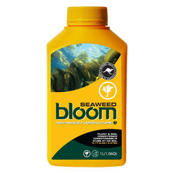 Bloom Seaweed [300ml to 15L]