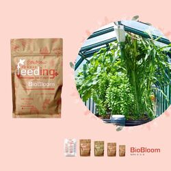 Powder Feeding BIO Bloom Nutrient by Green House Seed Company [500g | 1kg]