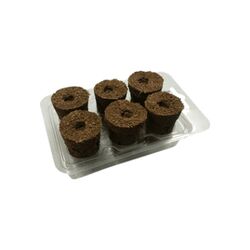 Eazy Plug Sowing Set - 6 Plug Tray Propagation Kit