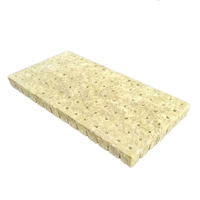 Grodan Rockwool 98 Cube Slab 1 Tray