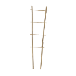 Bamboo Ladder Trellis – 45cm