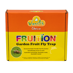 Vasili’s Garden Fruit Fly Trap – Fruition