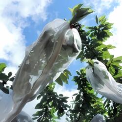 Ryset Fruit Protection Sleeve – 5 Pack 30cm x 90cm