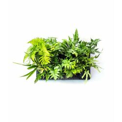 Holman GreenWall Vertical Planting Kit