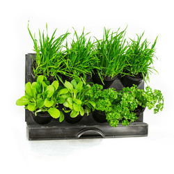Holman – Freestanding Benchtop GreenWall