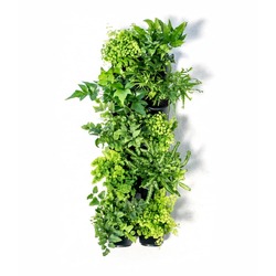 Holman Connect-a-Pot 10x Pot GreenWall Kit