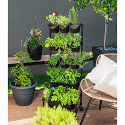 Holman – GreenWall Mobile Garden Kit