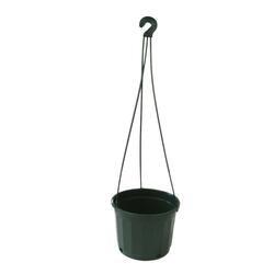 Hanging Basket 115mm – Jade