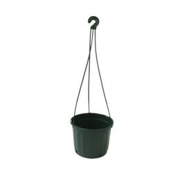 Hanging Basket 140mm – Jade
