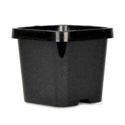 Squat Pot Square - 66mm