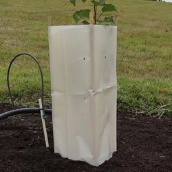 Tree Guards – Corn starch sleeve – Biodegradable