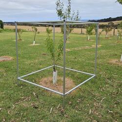 Tree Frame – Heavy Duty – 1.2 x 1.2 x 1.2m