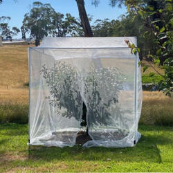 Tree Frame – Heavy Duty – 2.4 x 2.4 x 2.6m with Net