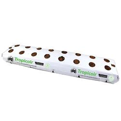 Coir Grow Bag Pith 16 Holes