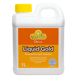 Vasili’s Liquid Gold – 1 Litre
