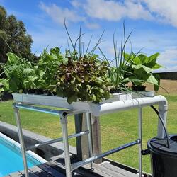 Vegie Bench Hybrid NFT Hydroponic Kit 12 Growing Locations | 1M x 2 Channel